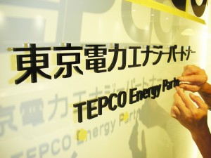 TEPCO01